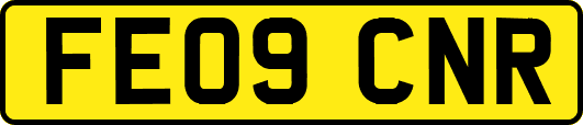 FE09CNR