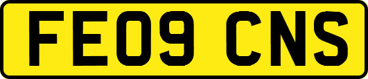 FE09CNS