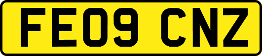 FE09CNZ