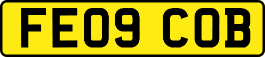 FE09COB