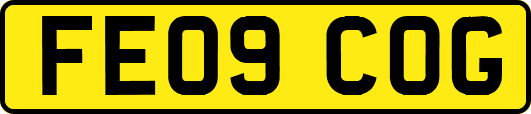 FE09COG