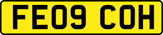FE09COH