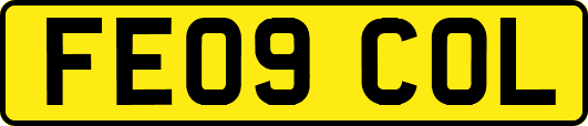 FE09COL