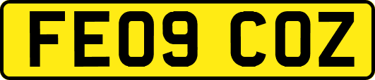 FE09COZ