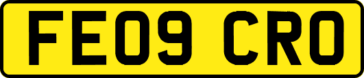 FE09CRO