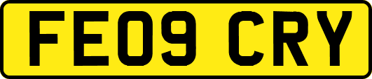 FE09CRY
