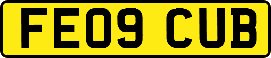 FE09CUB