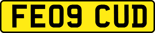 FE09CUD