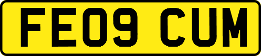 FE09CUM