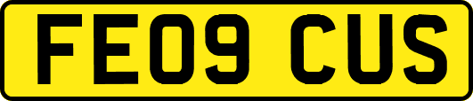 FE09CUS