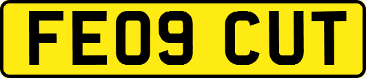 FE09CUT