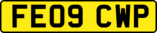FE09CWP