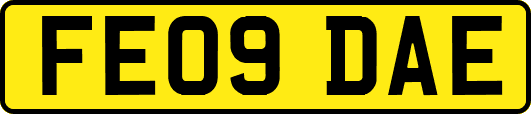 FE09DAE