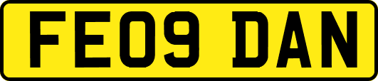 FE09DAN