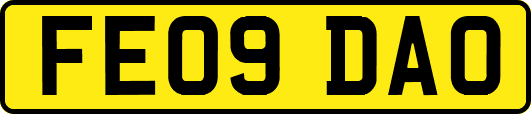 FE09DAO