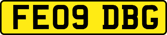 FE09DBG