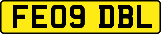 FE09DBL