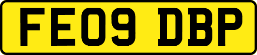 FE09DBP
