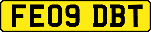 FE09DBT