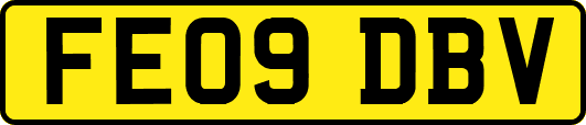 FE09DBV