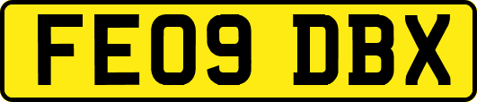 FE09DBX