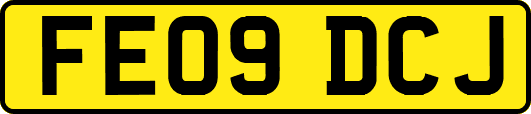 FE09DCJ