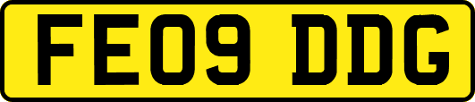 FE09DDG