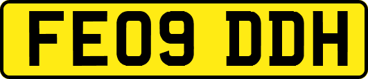 FE09DDH