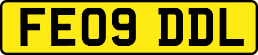 FE09DDL