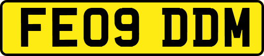 FE09DDM
