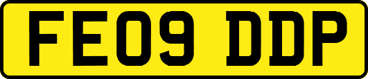 FE09DDP