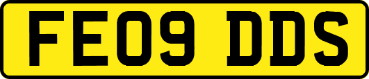 FE09DDS