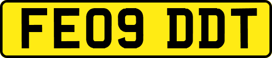 FE09DDT