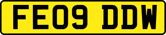 FE09DDW