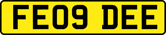 FE09DEE