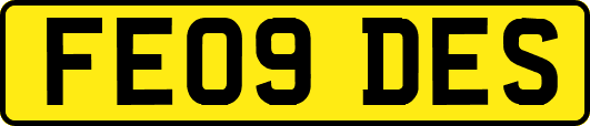 FE09DES