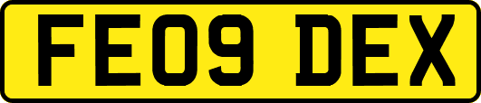 FE09DEX