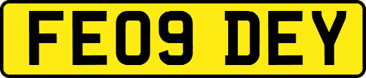 FE09DEY
