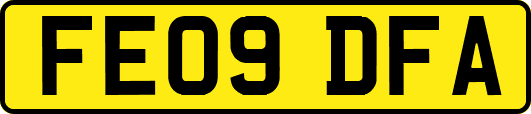 FE09DFA