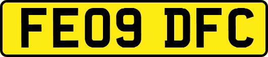 FE09DFC