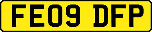 FE09DFP