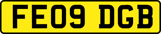 FE09DGB