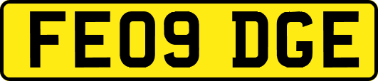 FE09DGE