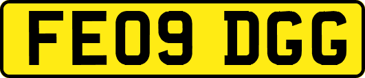 FE09DGG