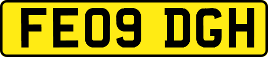 FE09DGH