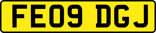 FE09DGJ