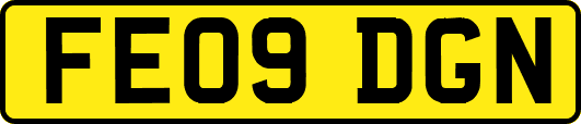 FE09DGN