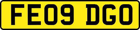 FE09DGO