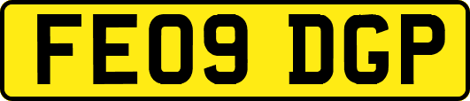 FE09DGP