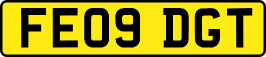 FE09DGT